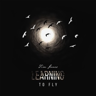 Learning to Fly cover art