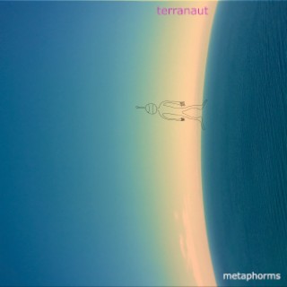 Metaphorms