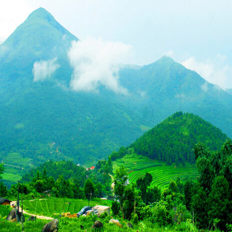 Gửi Nén Hương Yêu cover art