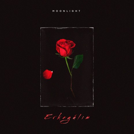 Erkegulim cover art