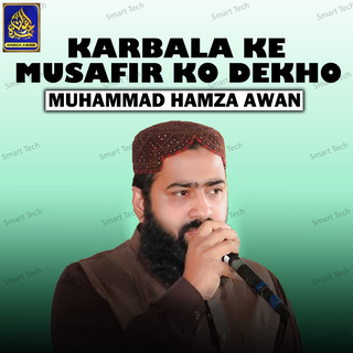 Muhammad Hamza Awan