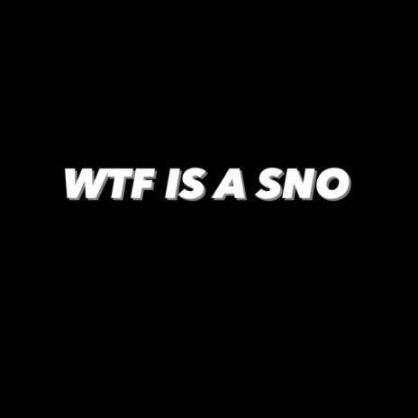 WTF IS A SNO ft. Youngowie & Realslimeyyyy cover art