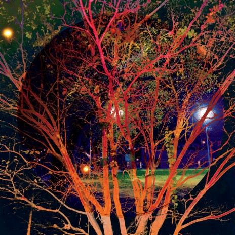 The Transit of Venus cover art