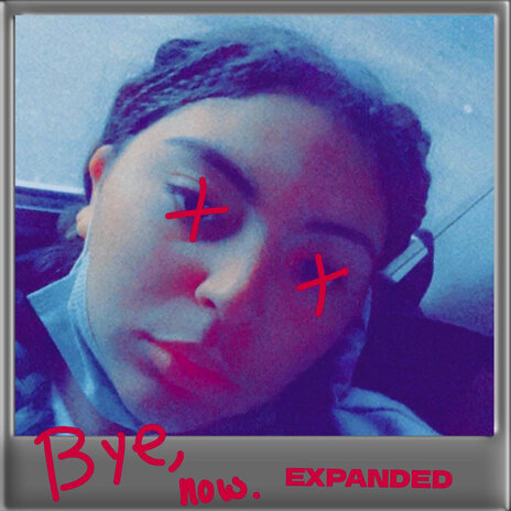 Bye, Now (Expanded) cover art