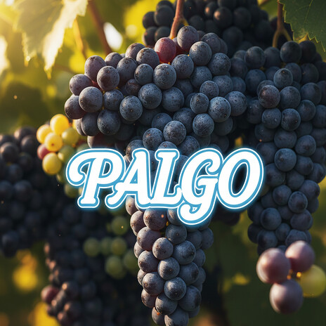 Palgo cover art