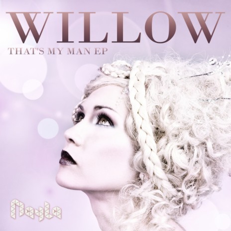 Willow (Chillout Lounge Instrumental) cover art