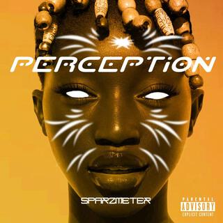 Perception