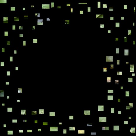 Colossoma macropomum cover art