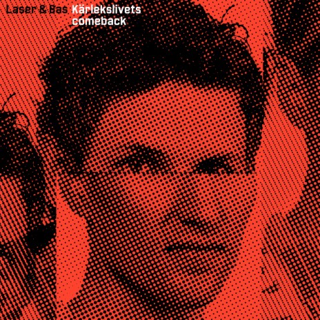 Har du tatt in dynorna cover art