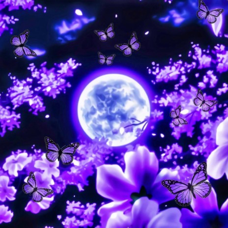 Moonlit cover art