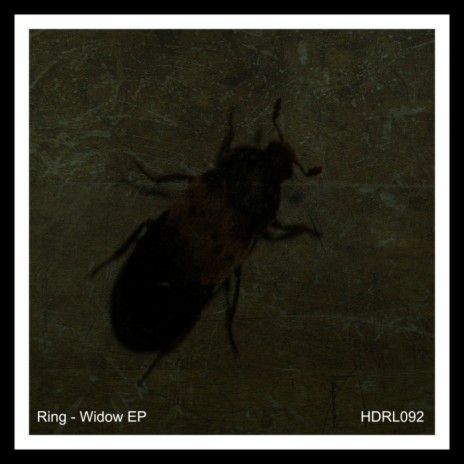 Fiction (Original Mix) cover art