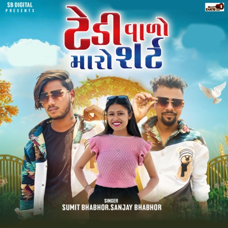 Tedi Valo Maro Shirt, Pt. 7 ft. Sanjay Bhabhor cover art