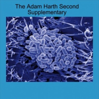 The Adam Harth Second Supplementary