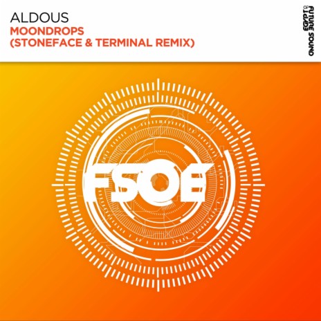 Moondrops (Stoneface & Terminal Remix) ft. Stoneface & Terminal cover art