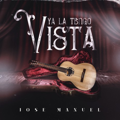 Ya La Tengo Vista cover art