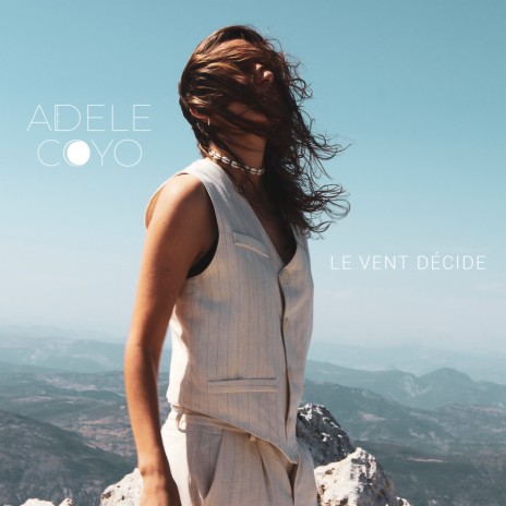 Voler aux artifices cover art