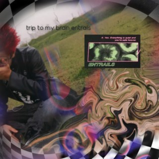 Trip To My Brain Entrails