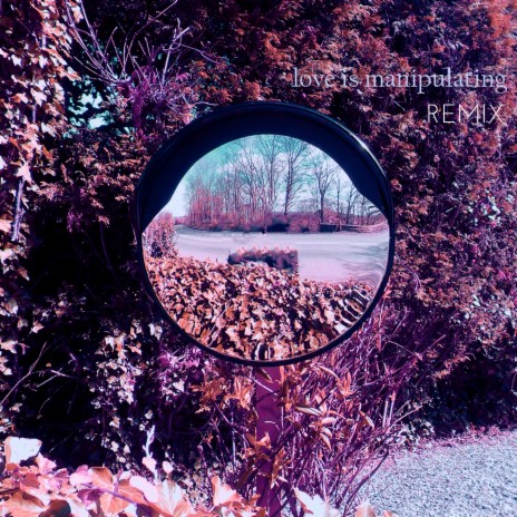 Love Is Manipulating (Remix) cover art