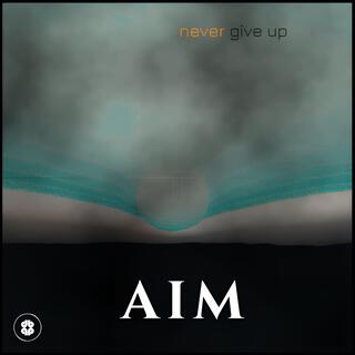 never give up cover art