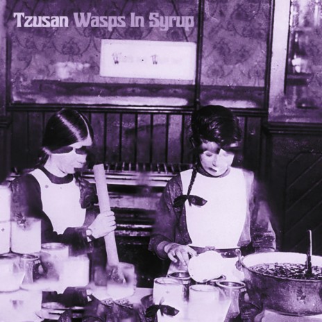 Wasps In Syrup cover art