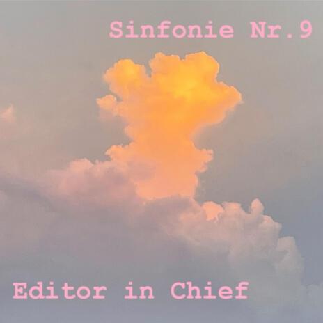 Sinfonie Nr. 9 cover art