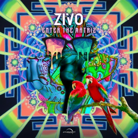 Enter The Matriz cover art