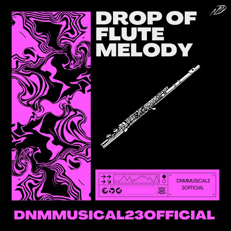 Drops of Flute Melody cover art