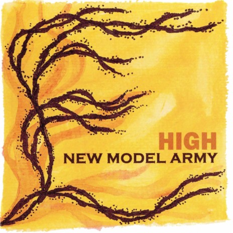 No Mirror, No Shadow cover art