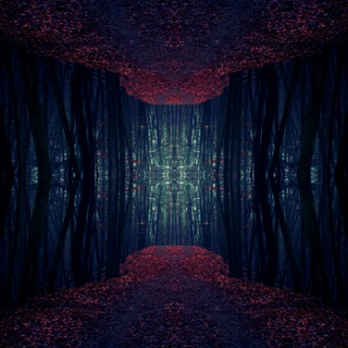Hidden World cover art