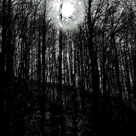 Meteeing The Dark Sun cover art