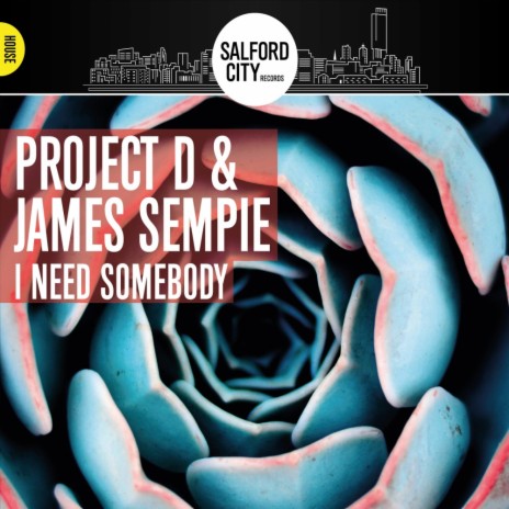 I Need Somebody (Original Mix) ft. James Sempie cover art