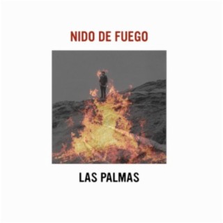 Nido de Fuego cover art