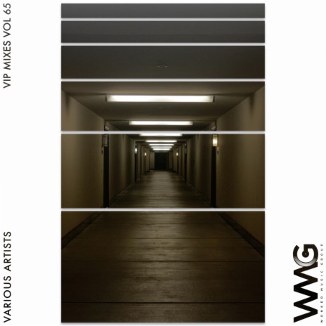Misunderstood (Surrogate VIP Mix) cover art
