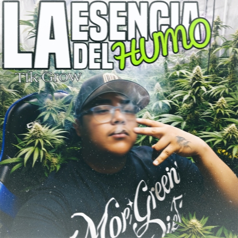 La Esencia del Humo cover art