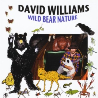 Wild Bear Nature