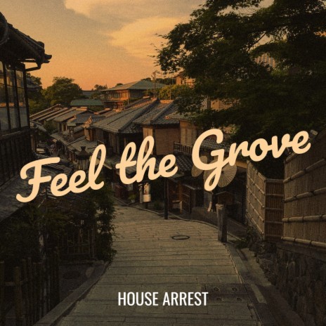 Feel the Grove cover art