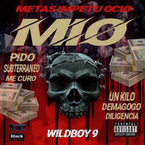 Diligencia cover art