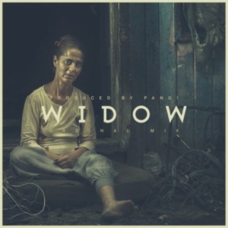 Widow (Radio Mix) cover art
