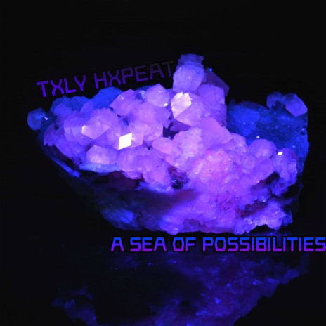 A Sea of Possibilities cover art