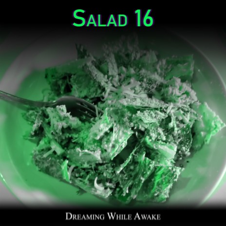 Salad 16 cover art