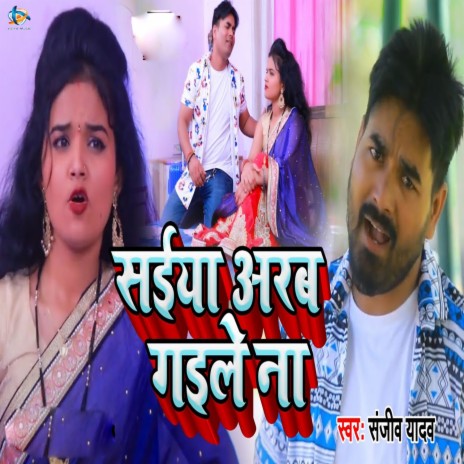 Saiya Arab Gaile Na cover art