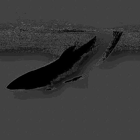 Tonight, Pt. 2 cover art