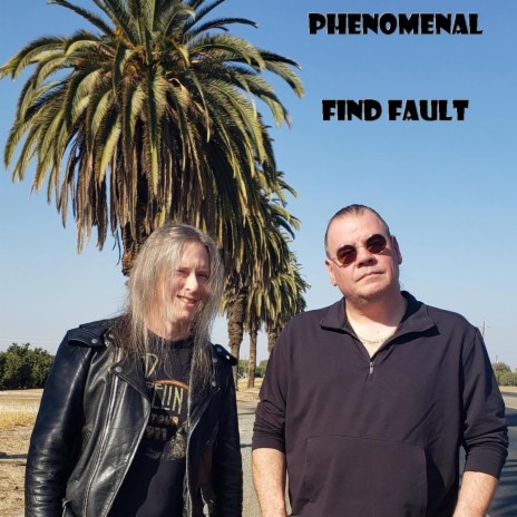 Find Fault cover art