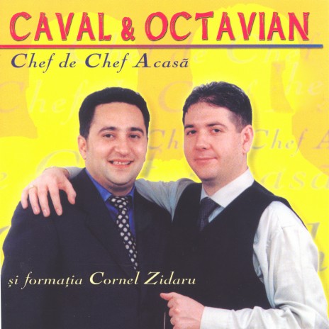 Nu cred ft. Octavian, Manele VTM & Formația Cornel Zidaru cover art