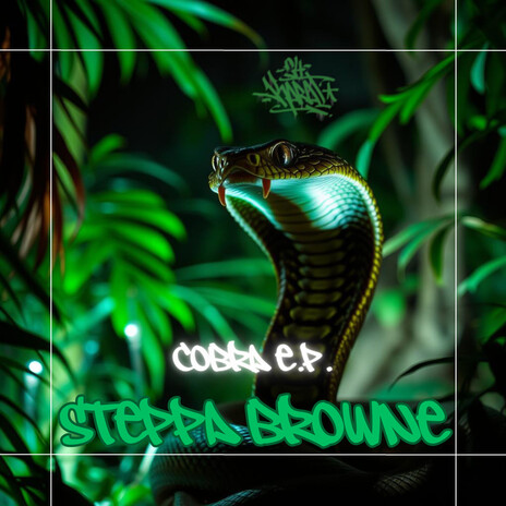 Serious (Original Mix) cover art