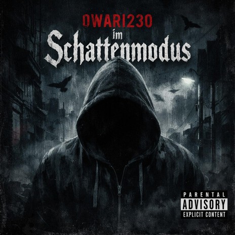 Im Schattenmodus cover art