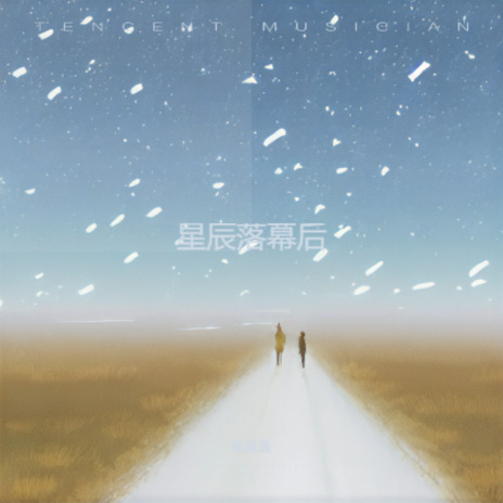 岁岁年年 cover art