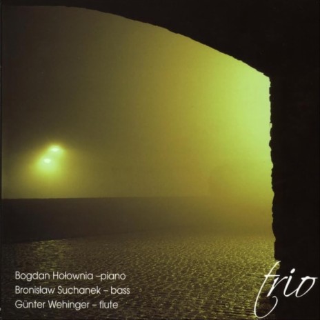 Lonesome Dancer ft. Bronisław Suchanek & Günter Wehinger cover art