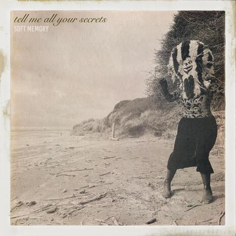Tell me all your Secrets cover art