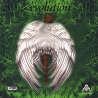 Evolution